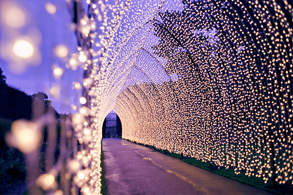 Christmas lights tunnel